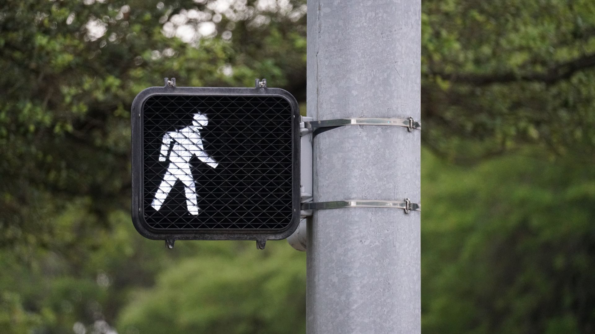 How San Antonio Attorneys Prove Fault After a Pedestrian Gets Hit by a Vehicle image