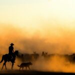 Seguin Personal Injury Attorneys near me