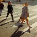 Skilled Pedestrian Accident Lawyers in Alamo Heights Ready to Help