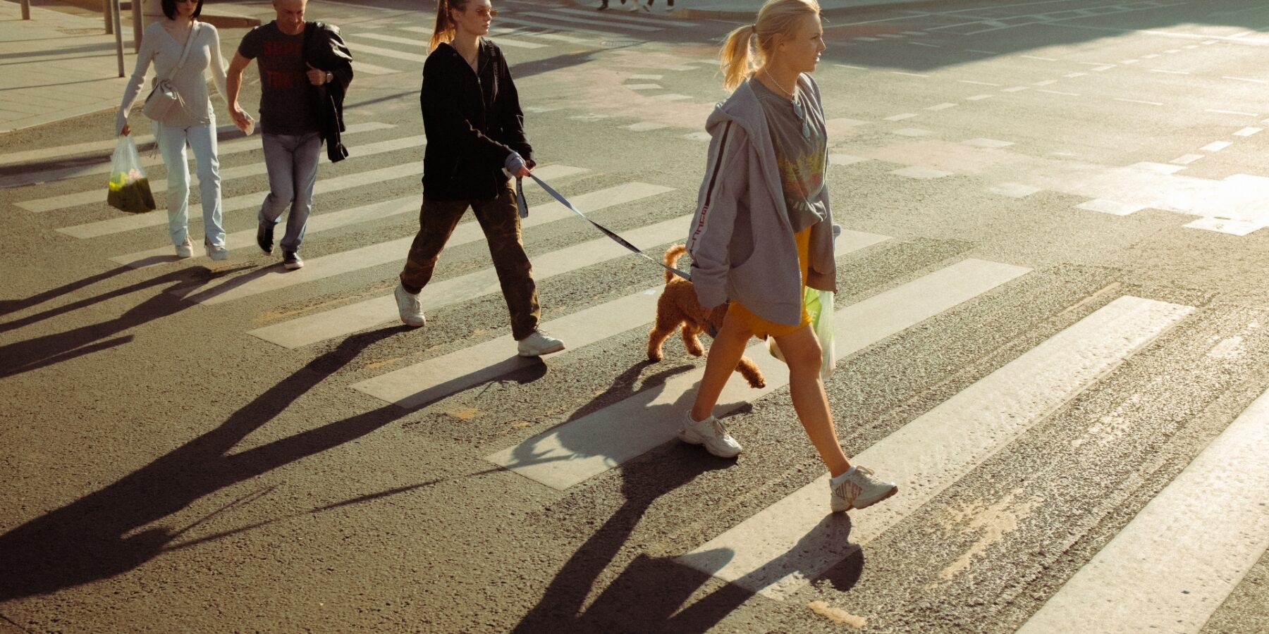 Skilled Pedestrian Accident Lawyers in Alamo Heights Ready to Help